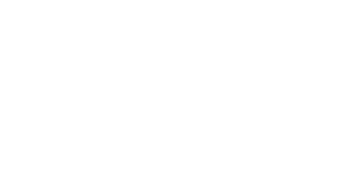 The Palace Group Logo